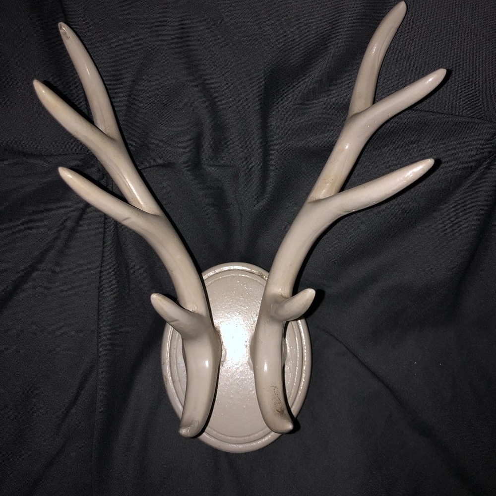 Antler jewelry wall hanger